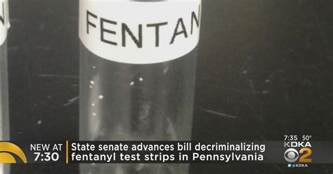 Wheelchair warranty bill clears Senate alongside fentanyl test strip legalization, blue envelope bill